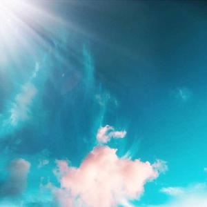 女的被操出水的视频
