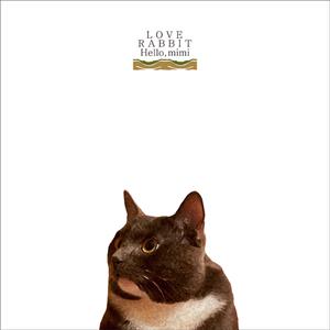 女的被操出水的视频
